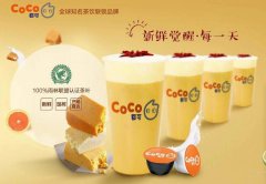 <b>如何提升coco奶茶加盟連鎖店的競(jìng)爭(zhēng)力?</b>