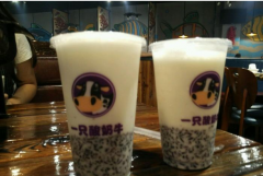 <b>如何加盟茶飲店?一只酸奶牛有發(fā)展前景嗎?</b>